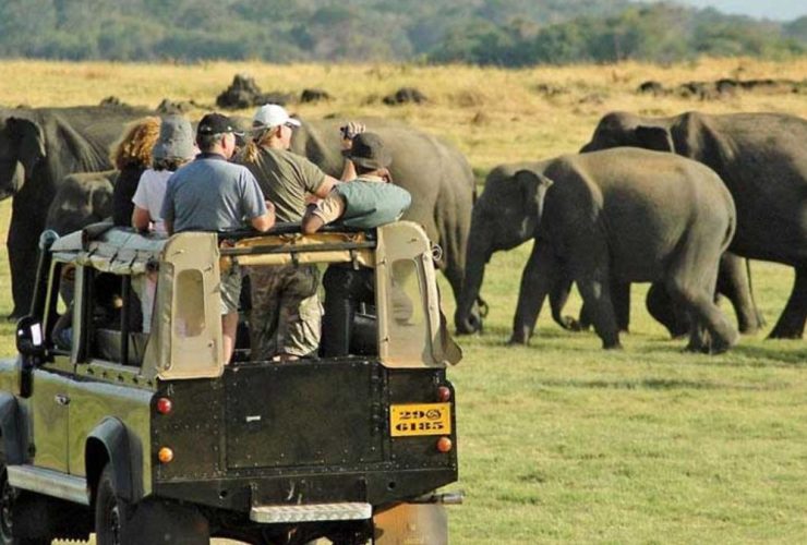 Yala National Park