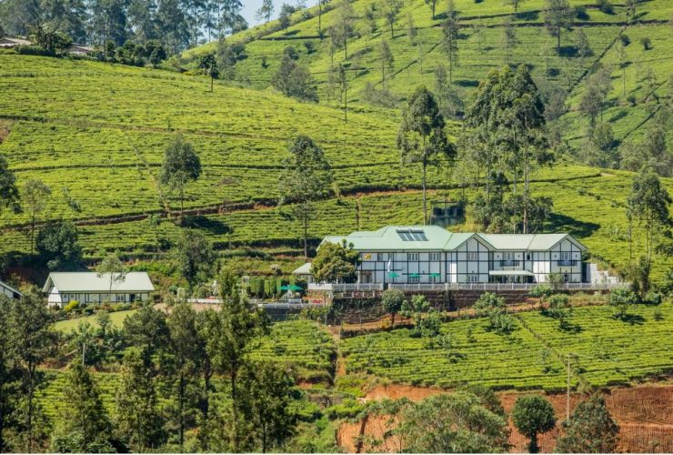 Nuwara Eliya Hotels